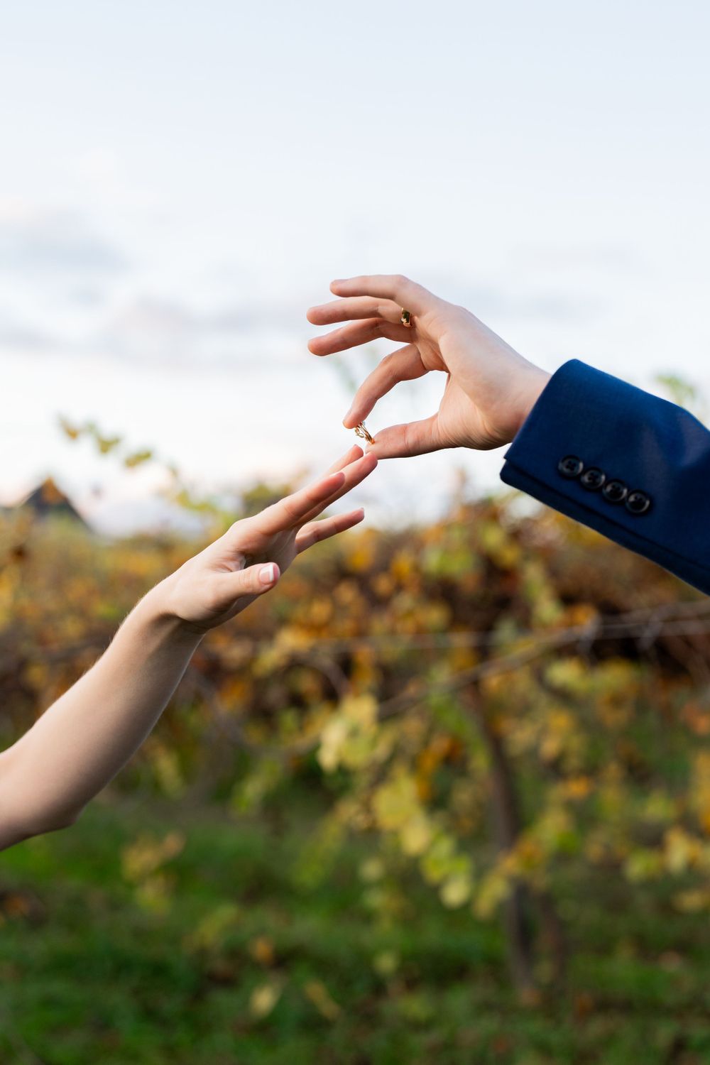 Two hands reaching toward each other against a blurred natural background, one wearing a navy blue suit sleeve.