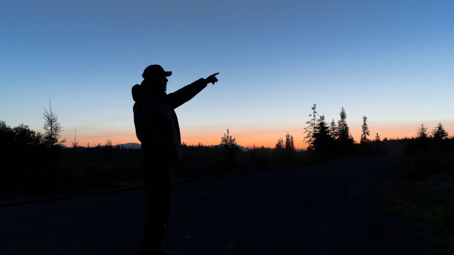 Silhouette of a person pointing at sunset sky with trees and colorful horizon in background.