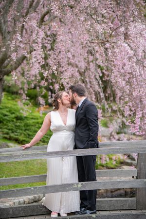 A romantic moment under blooming cherry blossom trees with a wooden bridge in the background.