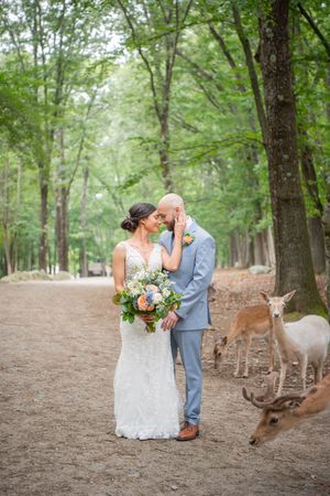 Enchanting woodland wedding photos with curious deer approaching in a forest setting.