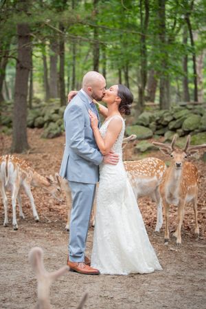 Magical wedding photos in a wooded setting surrounded by a herd of curious deer.