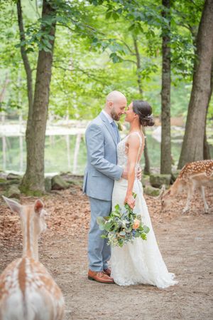 A romantic wedding photo in a forest with deer grazing in the background as the couple shares an intimate moment.