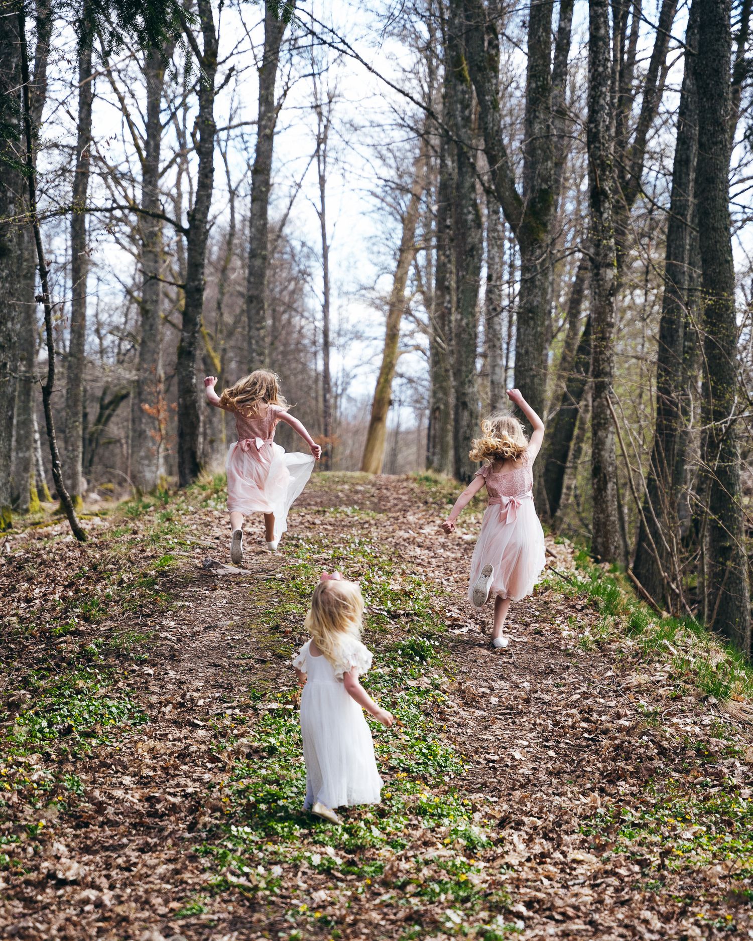 Bröllopsfotograf Växjö, Småland, Södra Sverige
