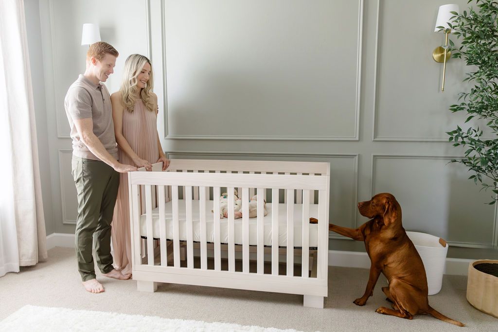 Couple stands over white crib with newborn baby as a brown Labrador dog sits beside them in a sage green nursery.