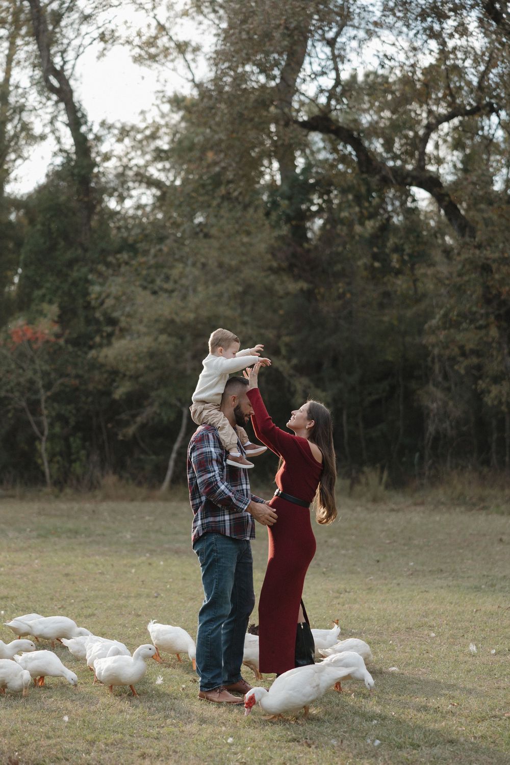 A couple dances together in a field while white ducks gather around their feet in a romantic outdoor setting.