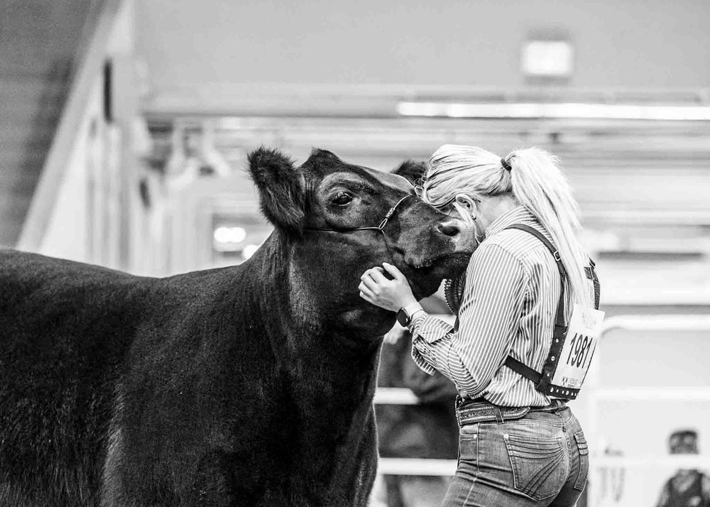 A series of black and white photos showing a person interacting with a horse in different tender moments.