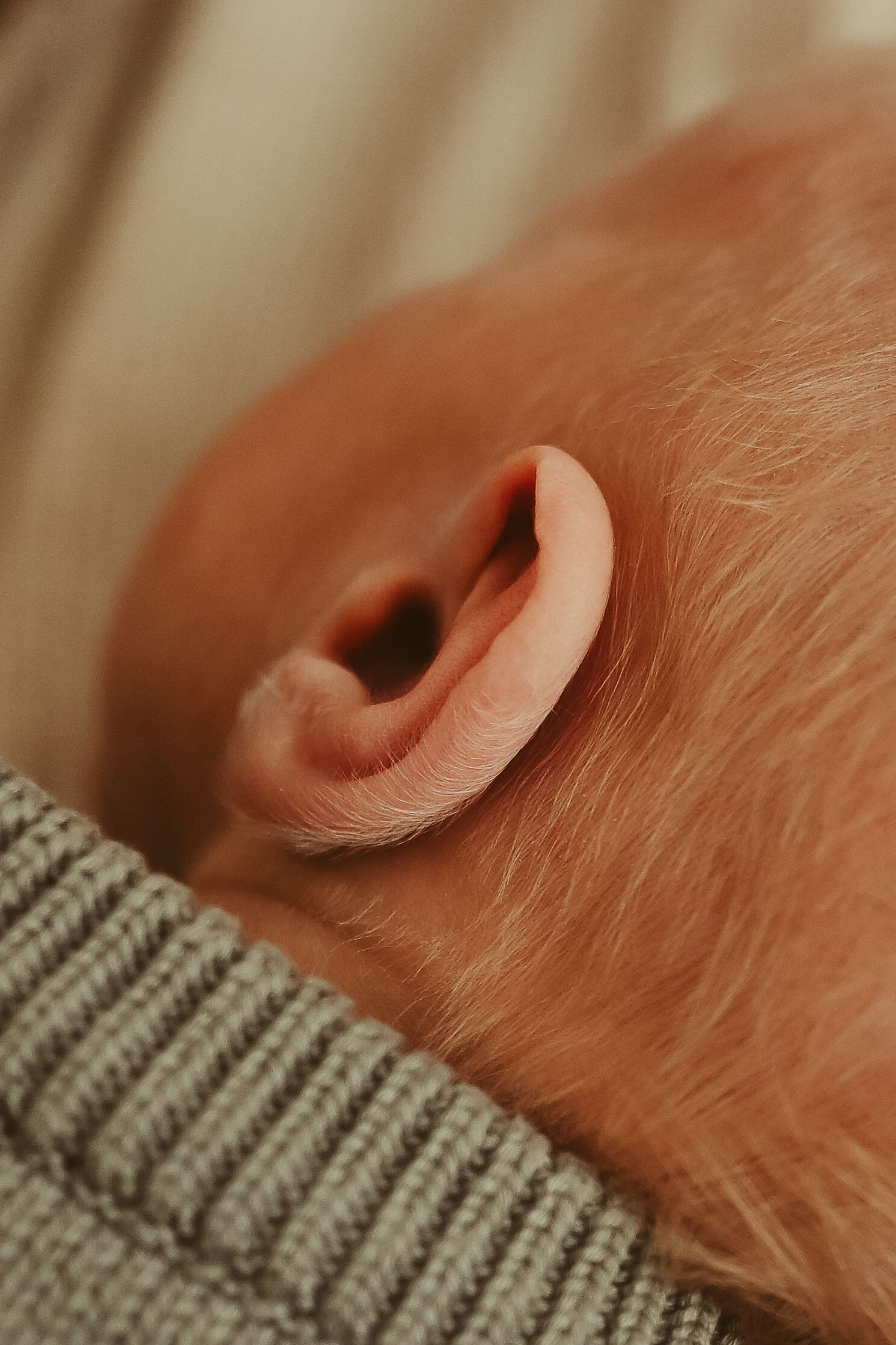 A tiny fuzzy baby ear with little hairs is showcased during lifestyle newborn session in Clarksville, Tennessee by Disney Magic Photography