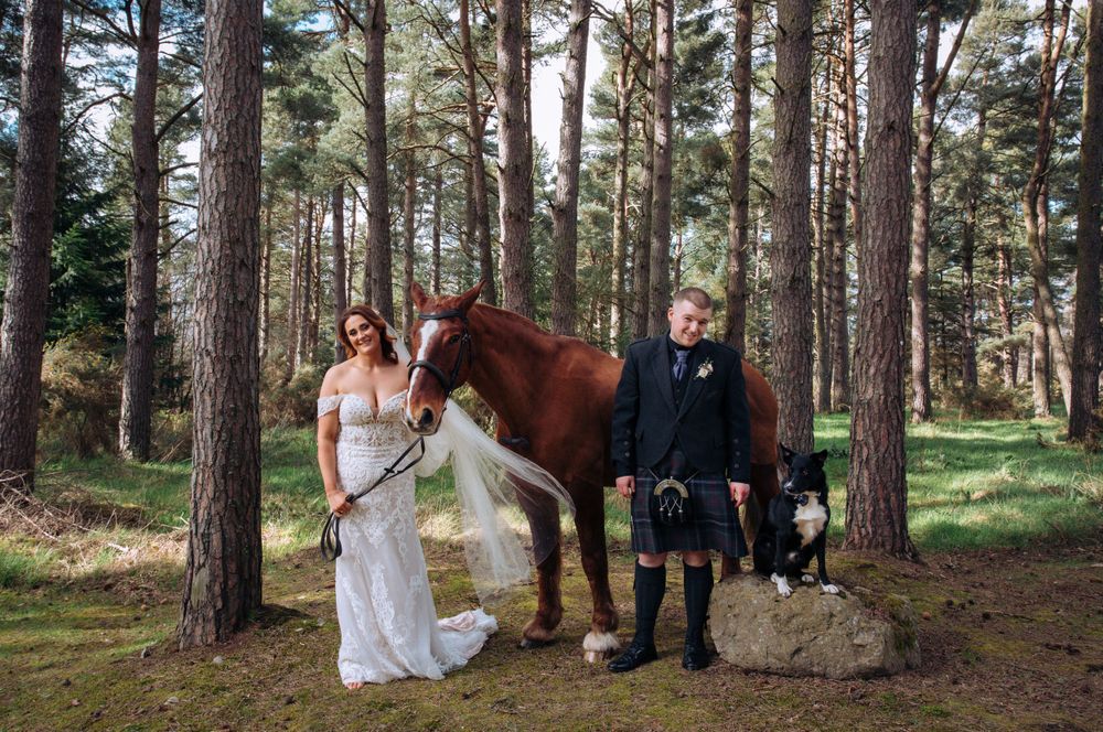 Wedding scene in a pine forest with a brown horse and black dog.
