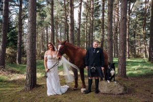 Wedding scene in a pine forest with a brown horse and black dog.