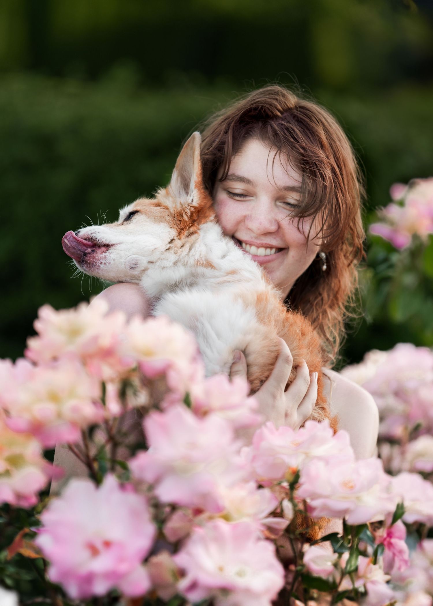 yellow corgi dog hello by girl, young woman, smiling  surrounded by roses, flowers, blur green background