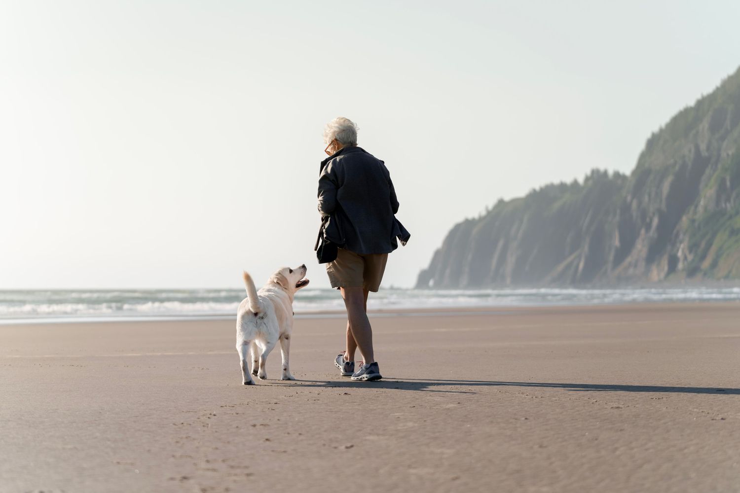 white Labrador dog walking with older woman on the beach, waves, ocean, cliff, forest, sand
