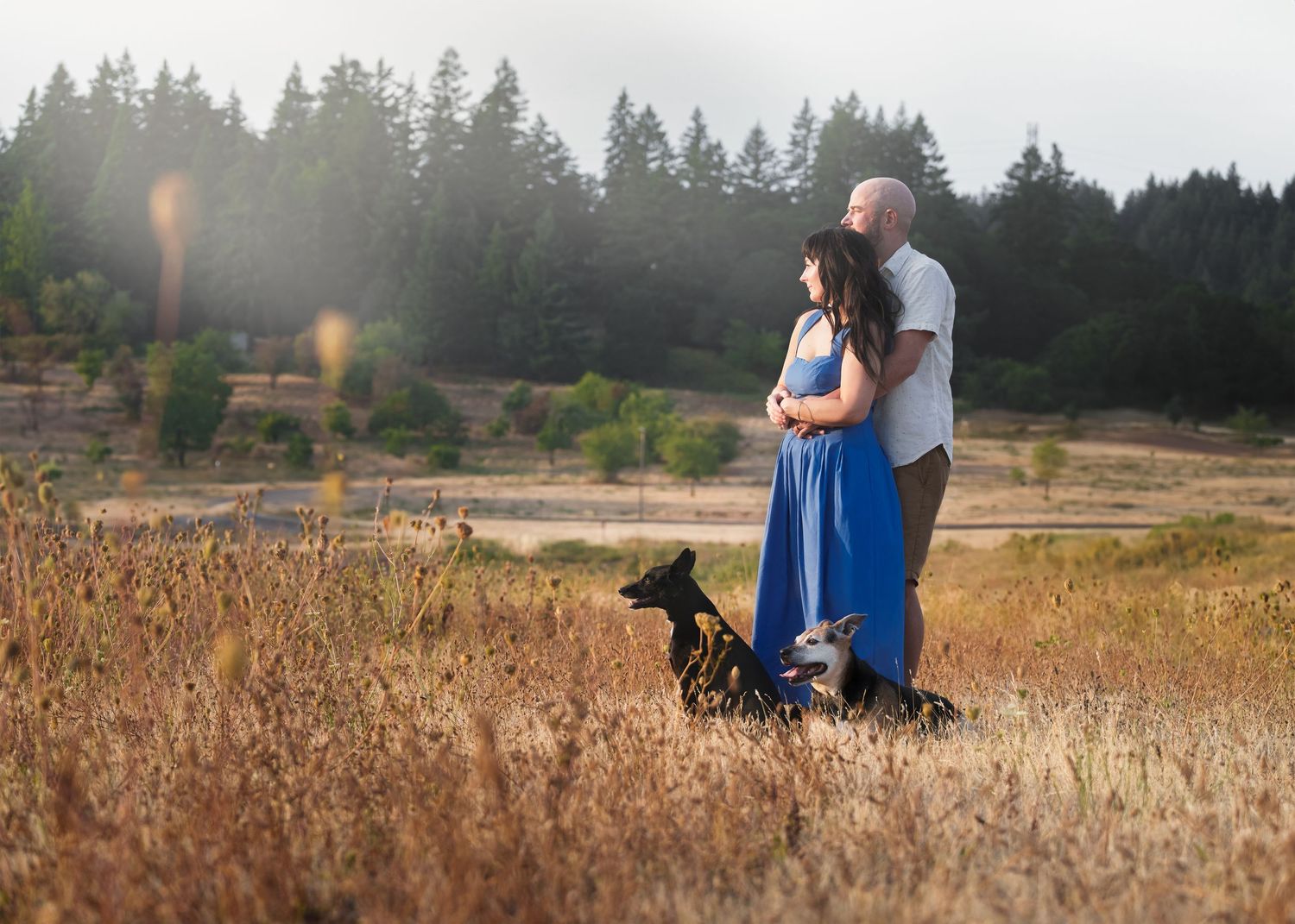 family with 2 dogs are standing in the middle of the scenes field overlooking the sunset, pine forest views, woman in blue dress, grass