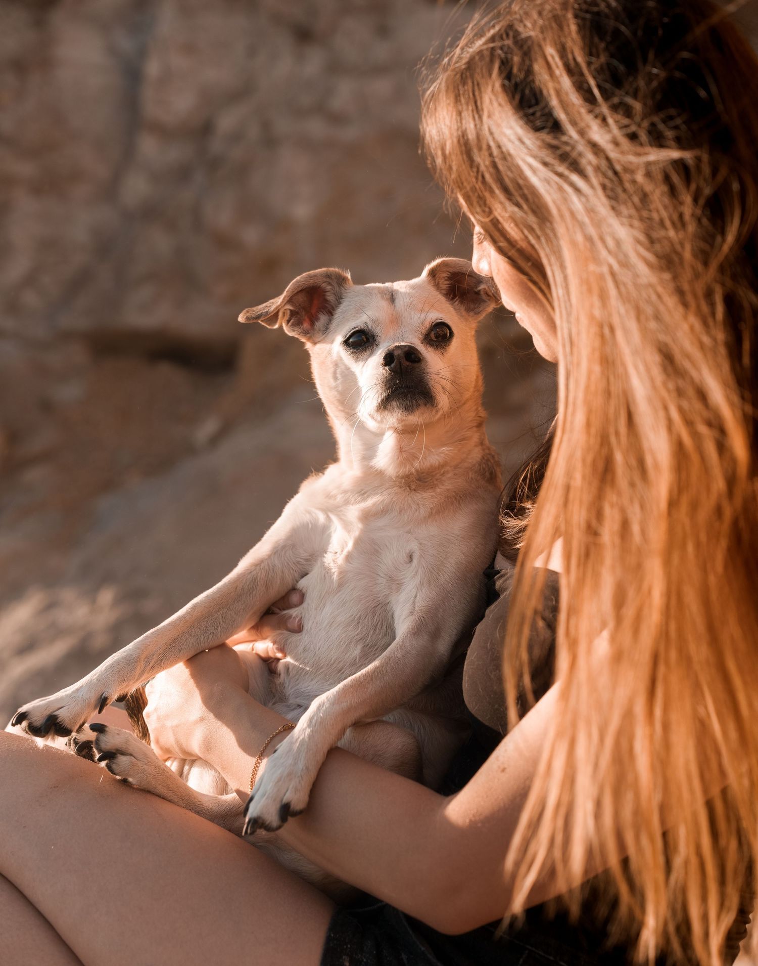 WOMAN HOLDING HER DOG AT THE BEACH AT THE SUNSET, WINDY, CLIFFS, OCEAN, WATER, REFLECTION,GLOWING HAIR