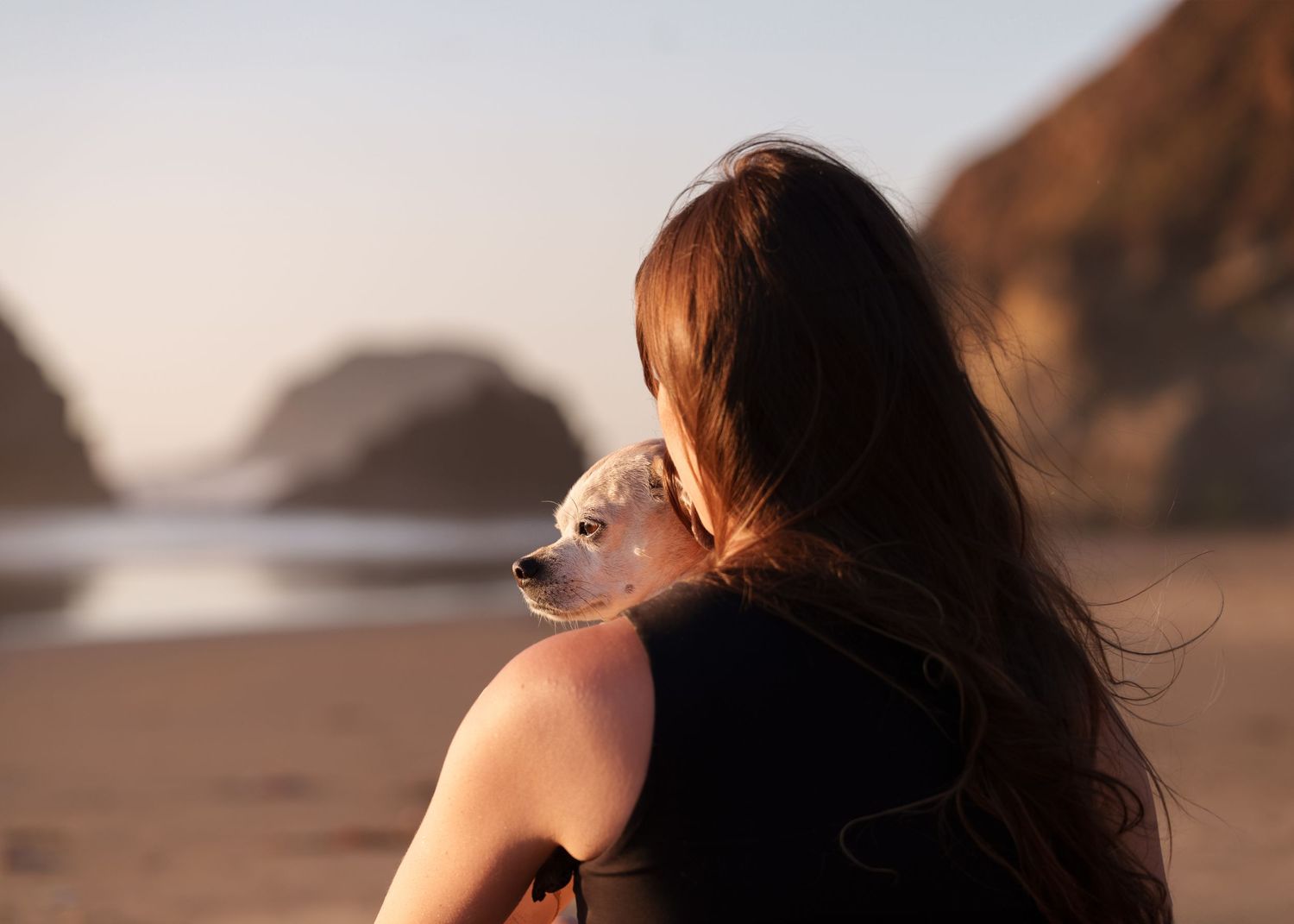 WOMAN HOLDING HER DOG AT THE BEACH AT THE SUNSET, WINDY, CLIFFS, OCEAN, WATER, REFLECTION