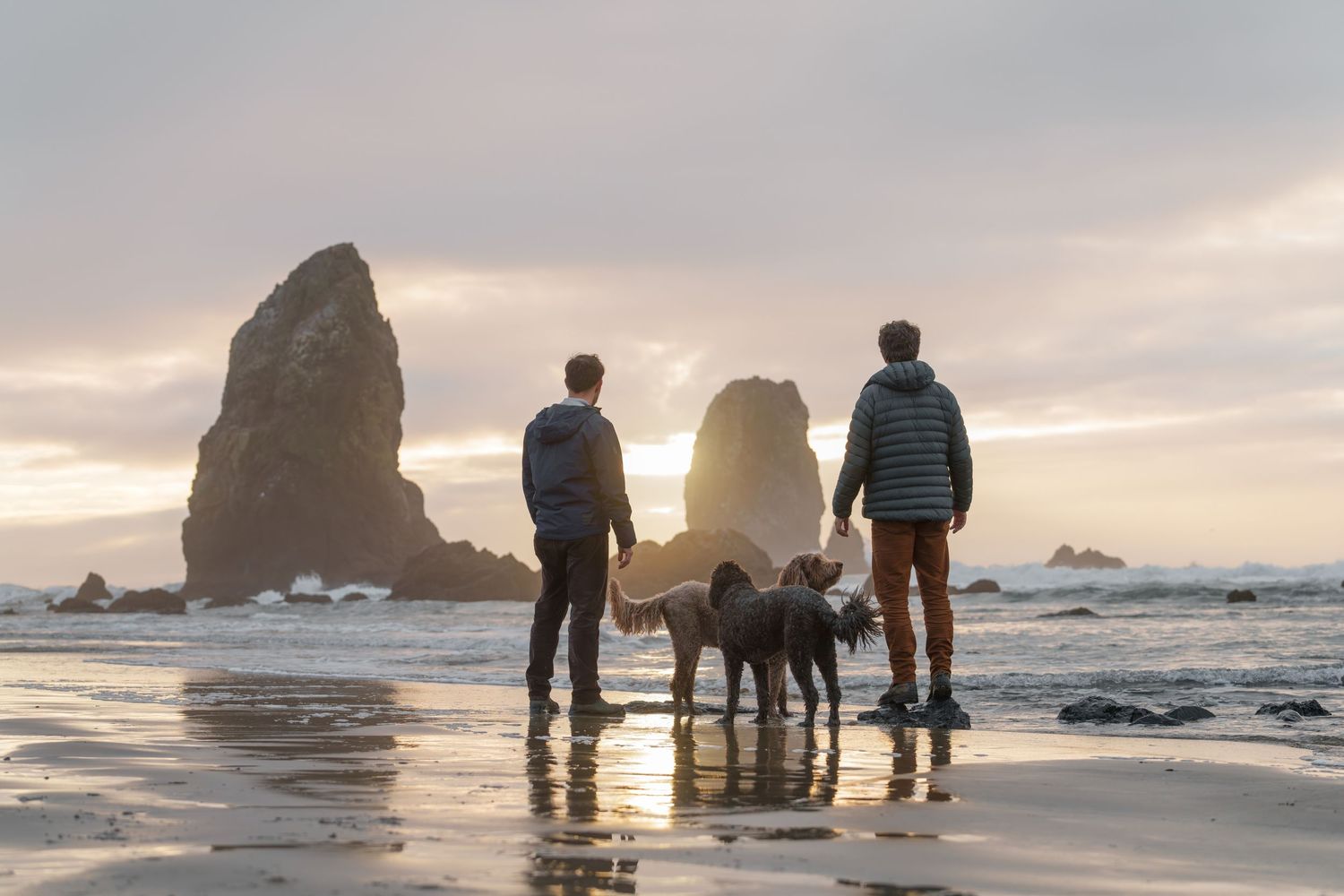 two man standing by the ocean looking away, waves, water, cliffs, 2 dogs , sunset , clouds