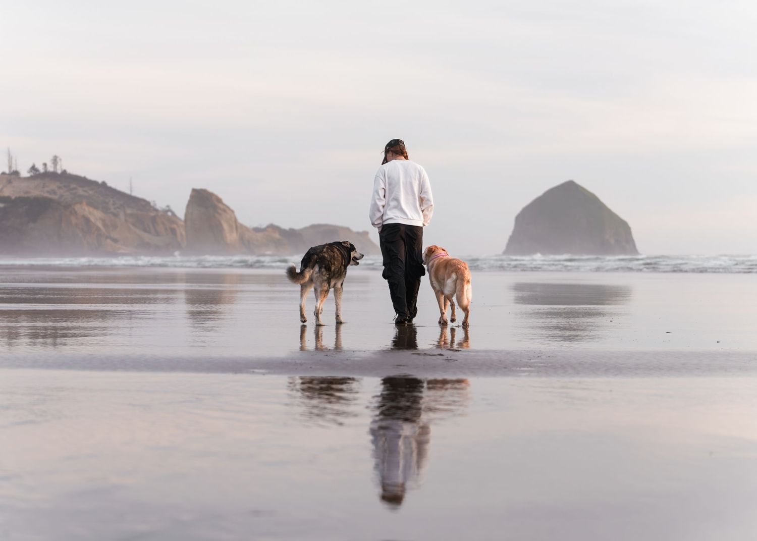 2 dogs and a female walking away towards the cape on the beach, ocean, reflections