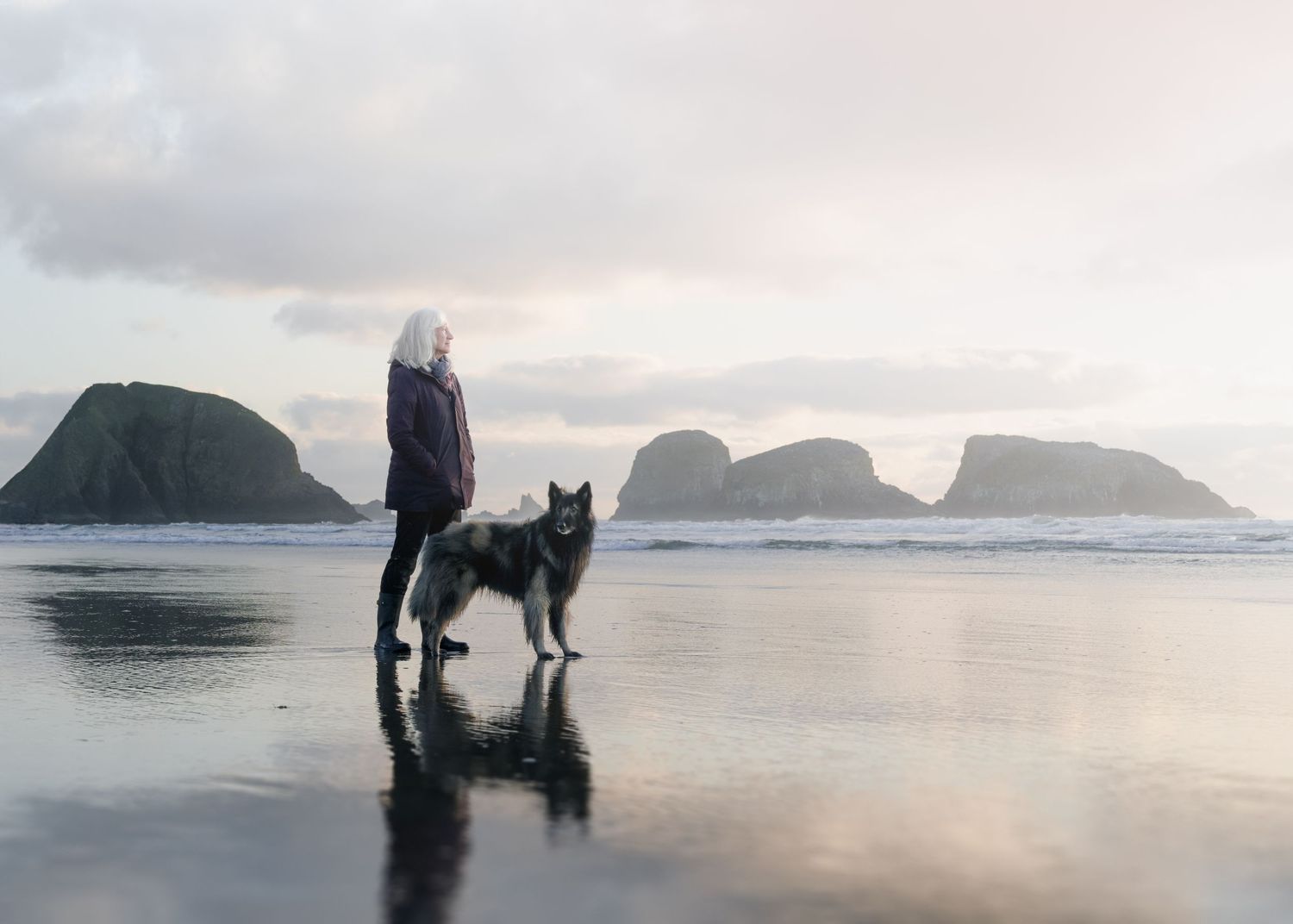 German shepard dog and his owner, elder woman staying by the ocean, cliff and rocks, cloudy moody sunset sky