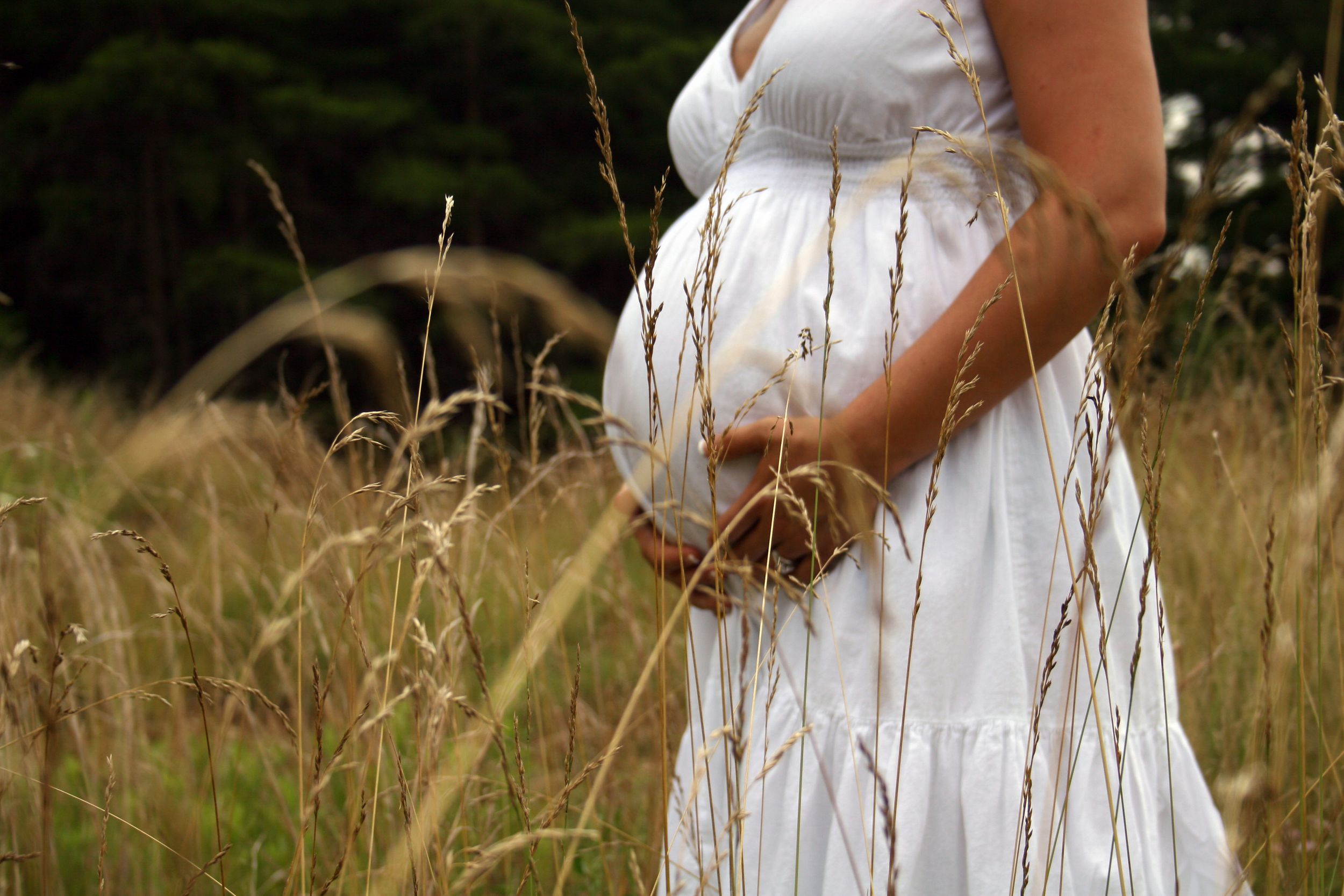 Maternity portrait of expectant mother in a field