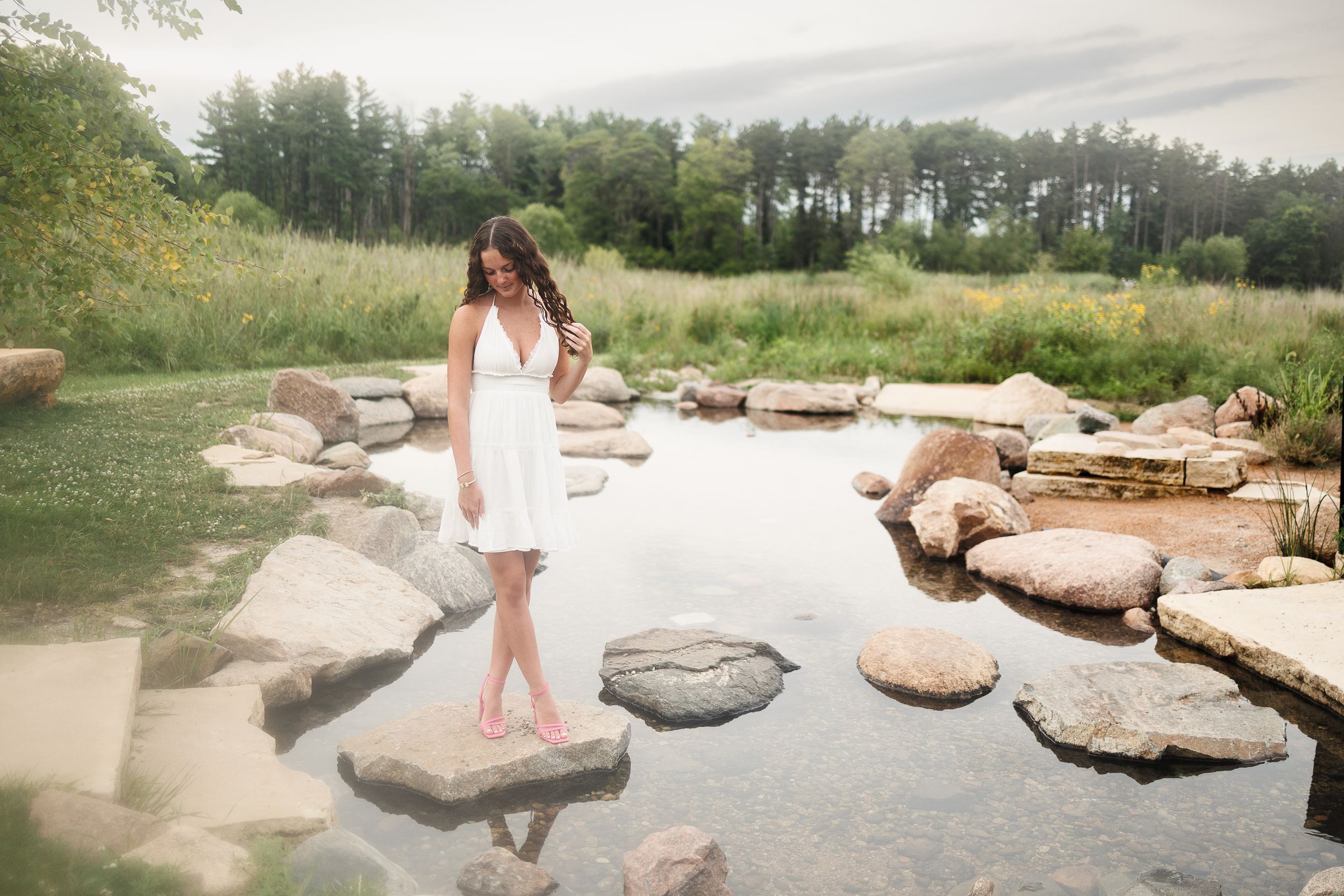 A series of stepping stones and rock formations create a path through a natural outdoor landscape.
