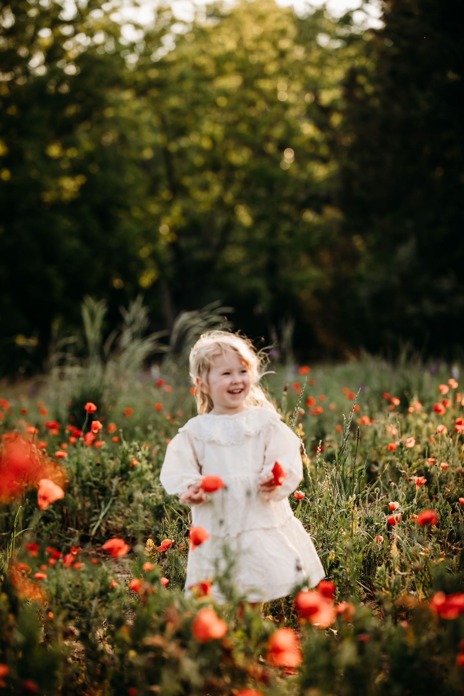 Raleigh NC family photographer