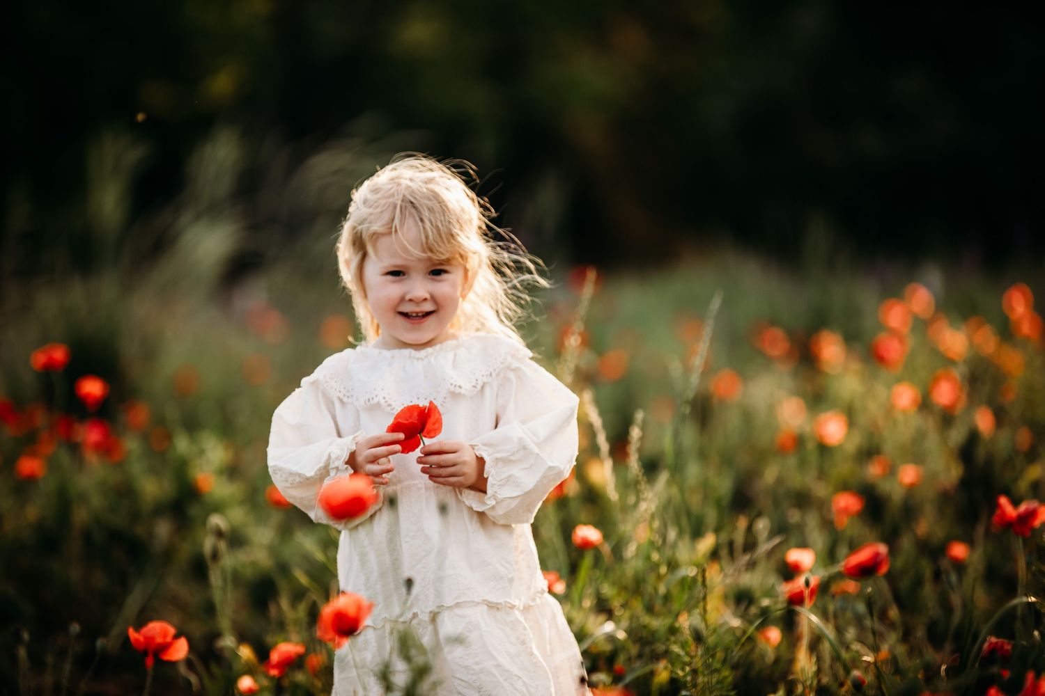 Raleigh NC family photographer