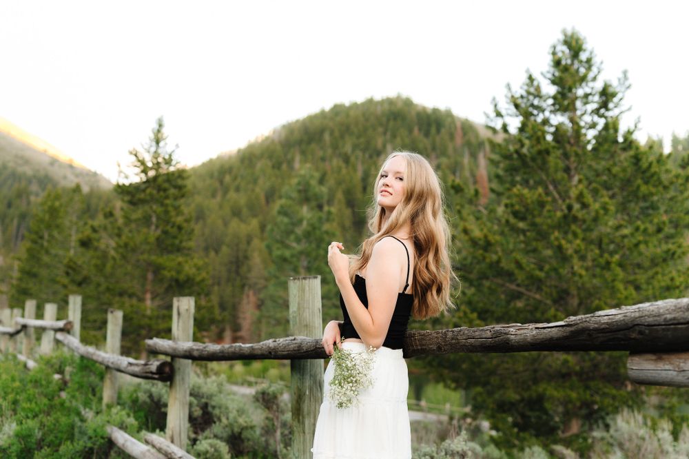 Mountain landscape photography with wooden fence and evergreen forest backdrop.