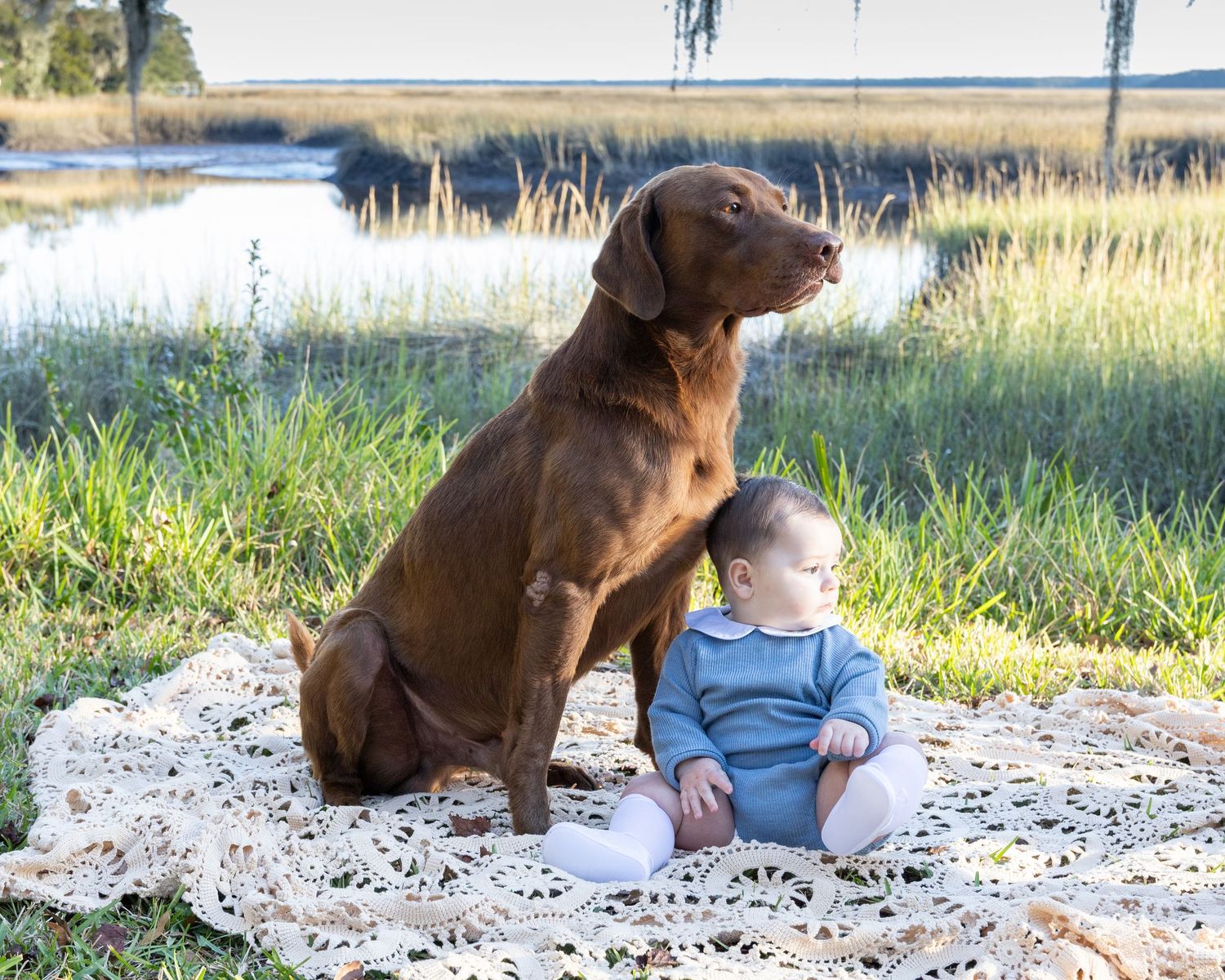Family Mini Session