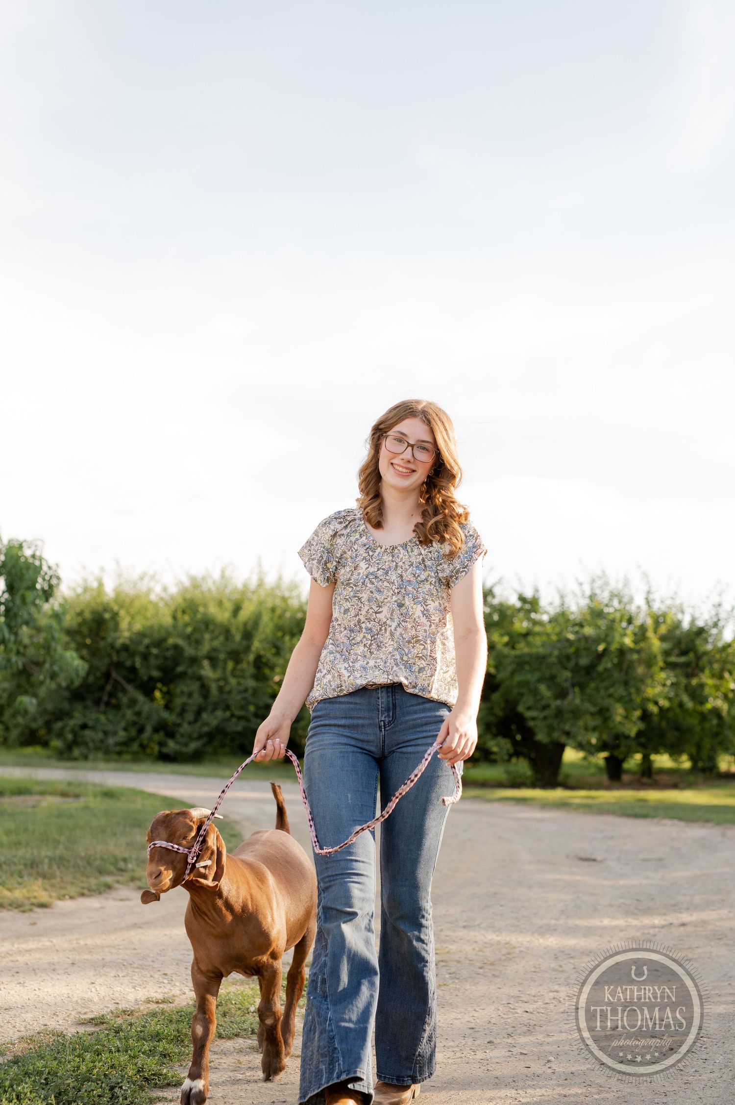 Person walking brown goat on leash along sunny rural path.