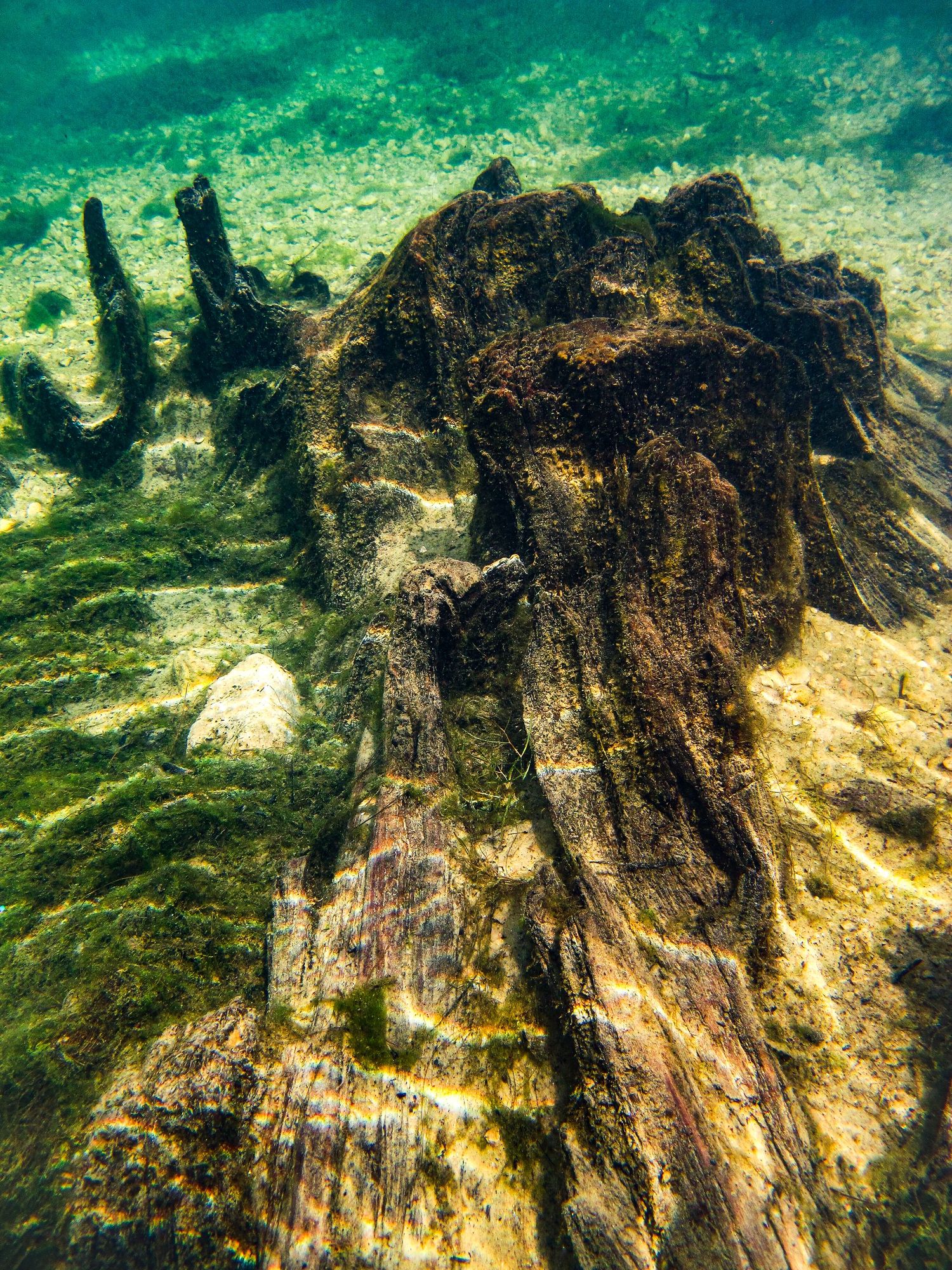 Travel Photographer in Panama City Florida. Nature photos in the Florida Panhandle: Beaches, Bayou, Natural Springs, Skies, Plants, and more