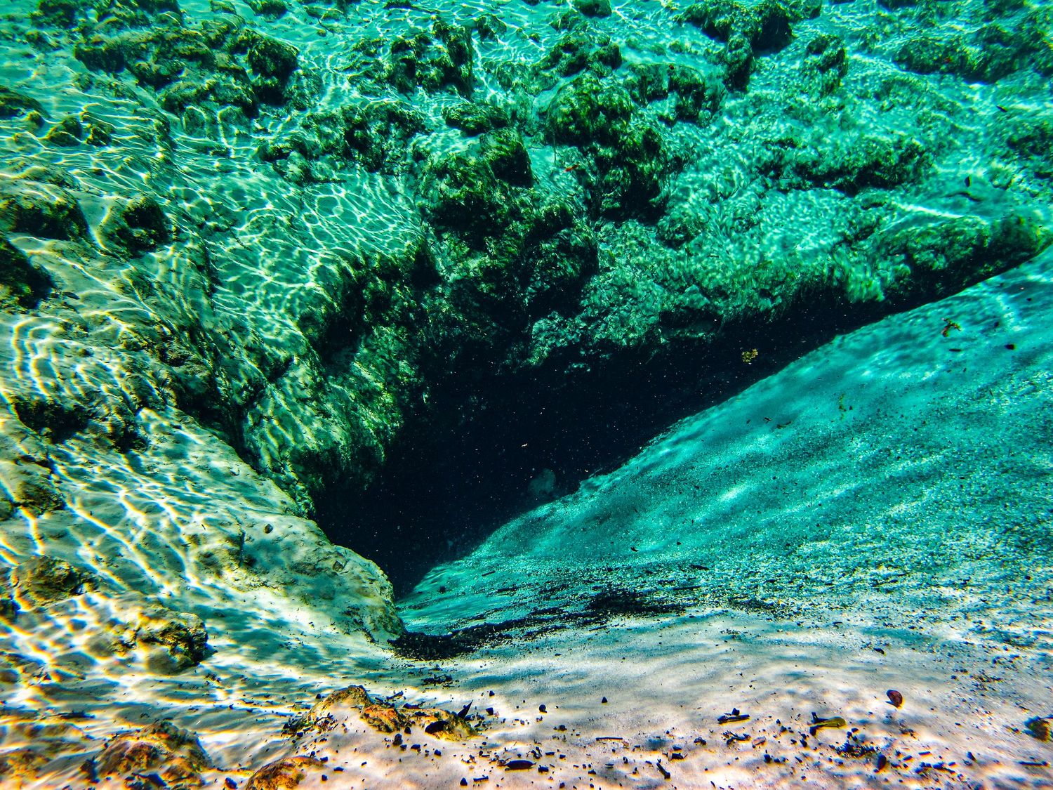 Travel Photographer in Panama City Florida. Nature photos in the Florida Panhandle: Beaches, Bayou, Natural Springs, Skies, Plants, and more