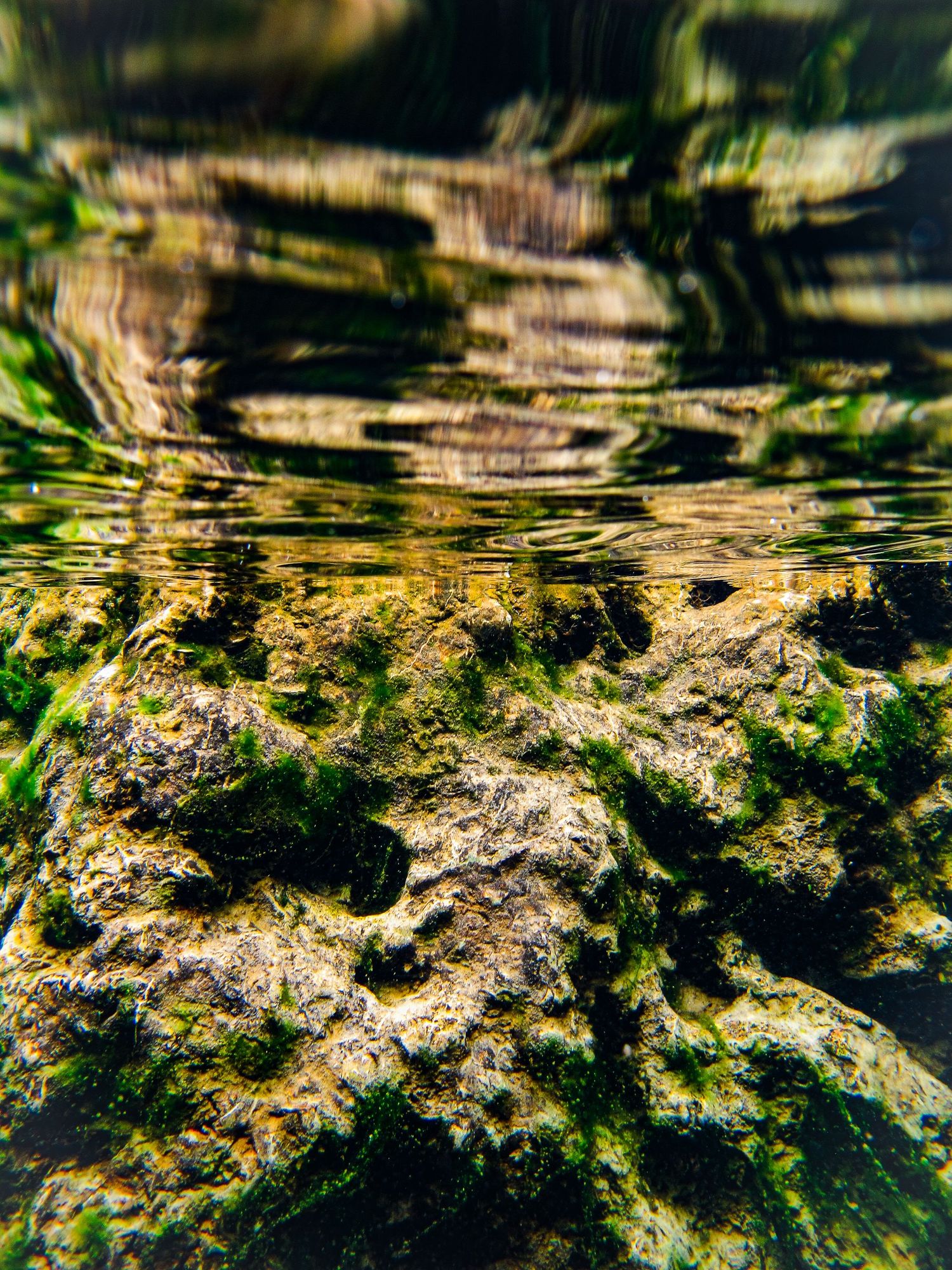 Travel Photographer in Panama City Florida. Nature photos in the Florida Panhandle: Beaches, Bayou, Natural Springs, Skies, Plants, and more