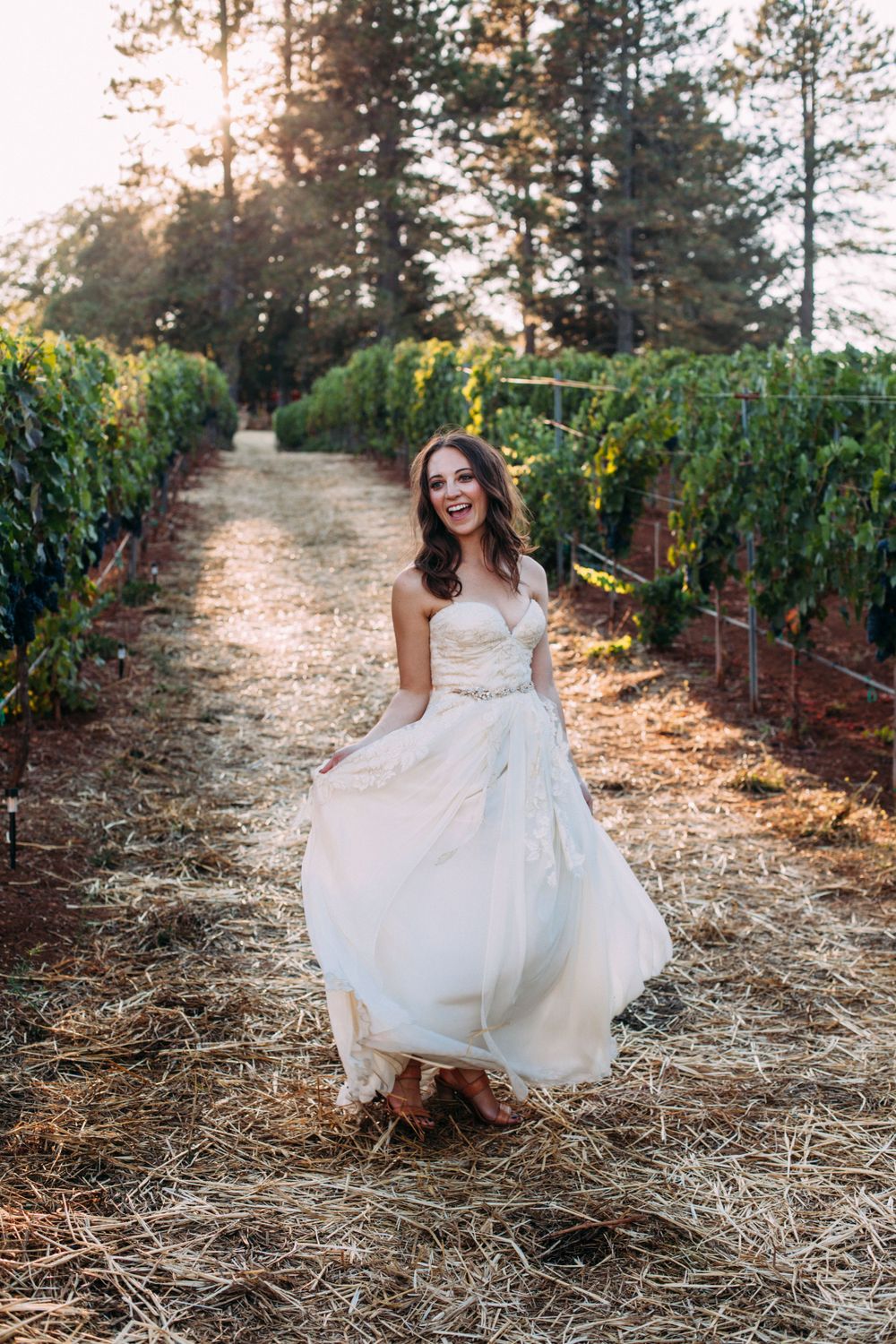 Bride walking through a vineyard path at golden hour, lifting her dress slightly as the sunlight filters through the vines. St Helena, CA