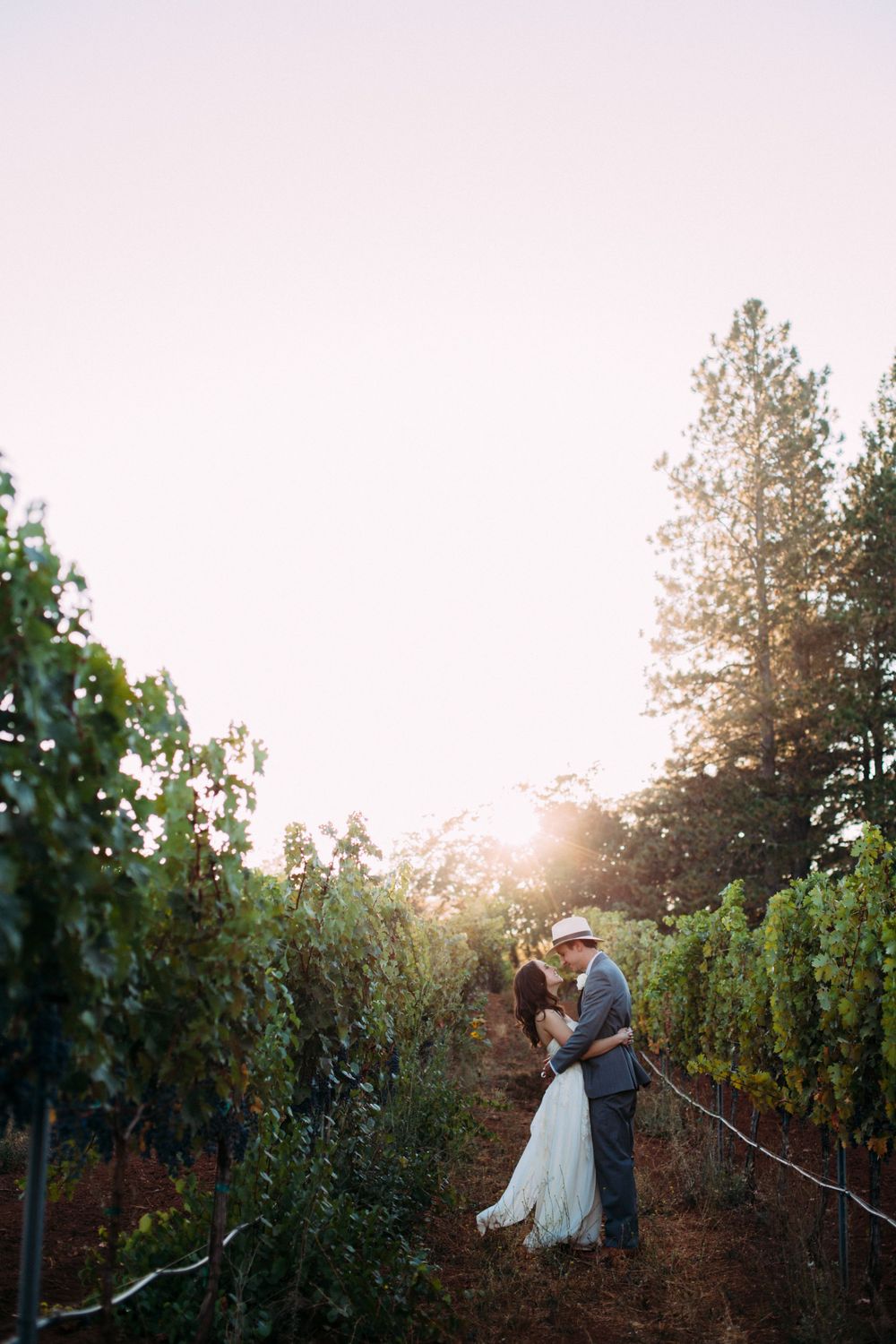 Bride & Groom walking through a vineyard at sunset, surrounded by golden light and lush grapevines. St Helena, CA - Angwin, CA
