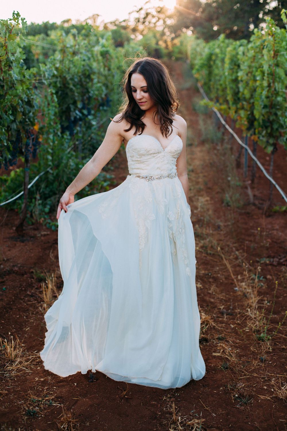 Romantic bridal portrait in a vineyard, with the bride gently lifting her dress while strolling through the vines. St Helena, CA - Angwin