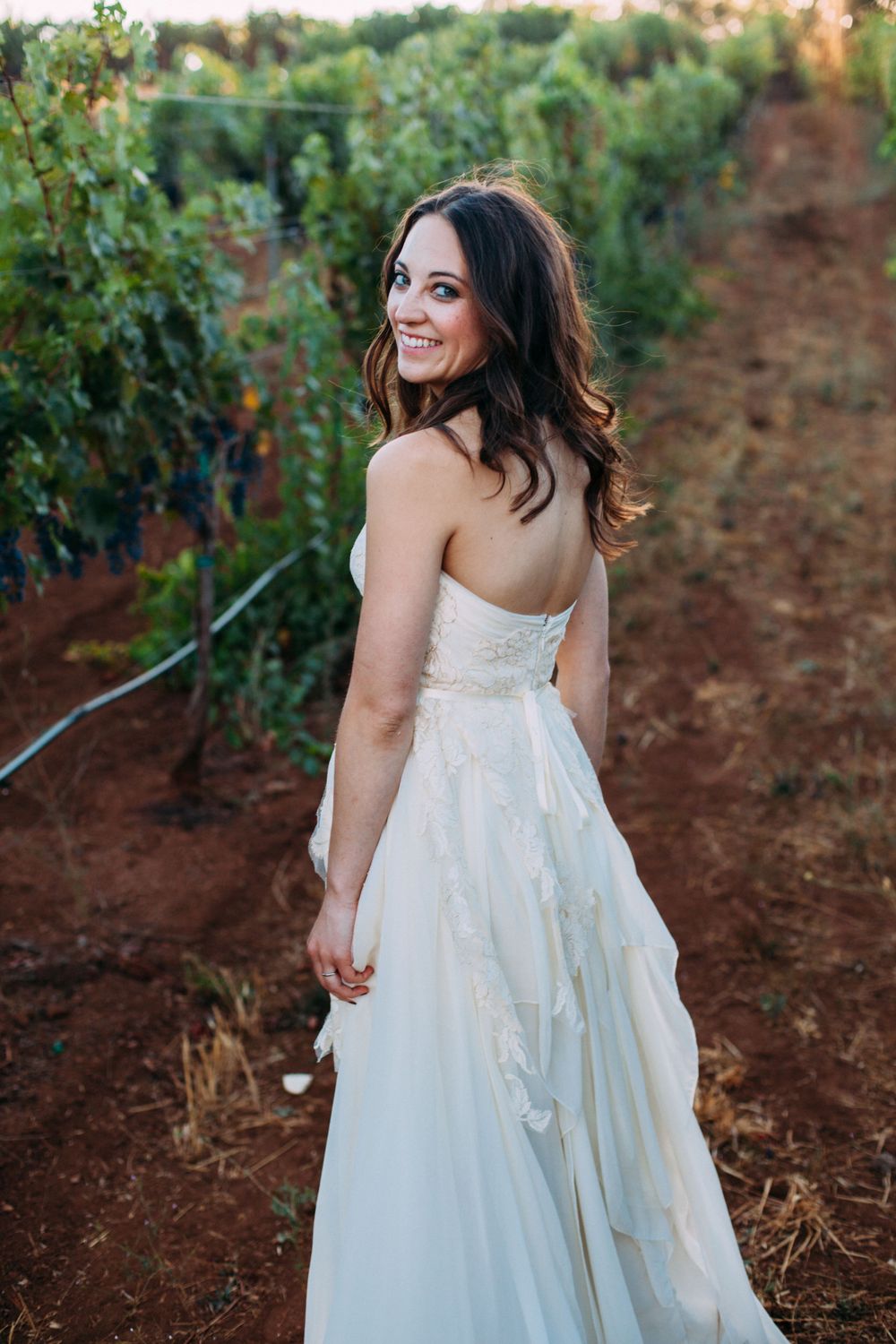 Bride walking through a vineyard at golden hour, wearing a flowing dress, surrounded by lush greenery. St Helena, CA - Angwin, CA