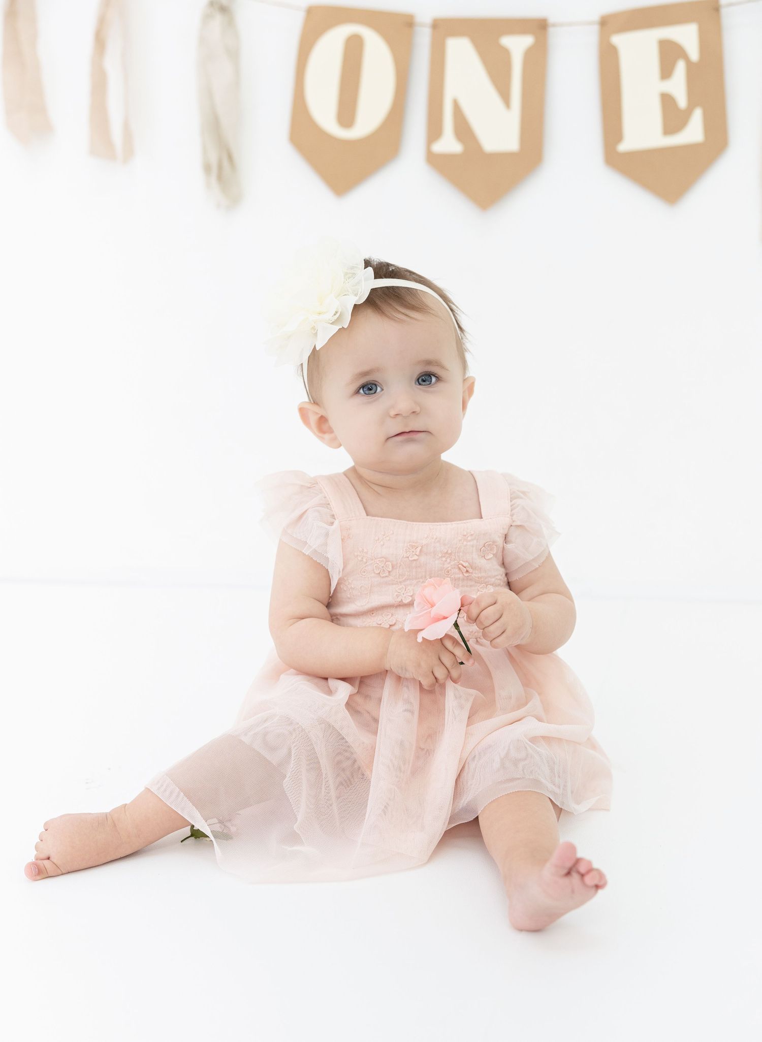 Baby in pink tulle dress sitting on white backdrop with ONE banner decoration above.