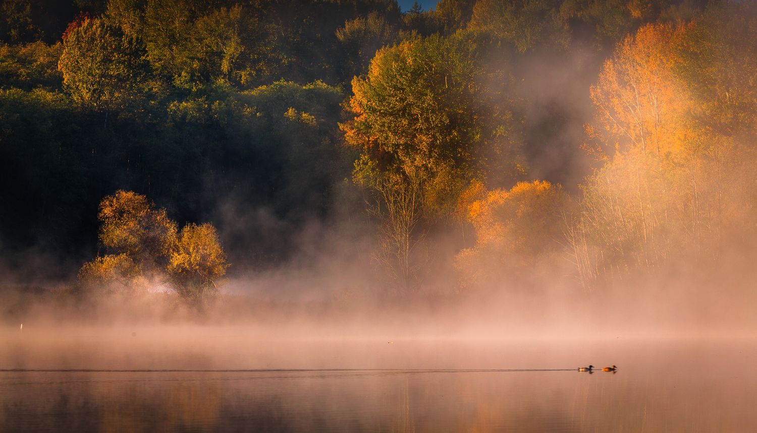 Deer Lake, Burnaby, British Columbia