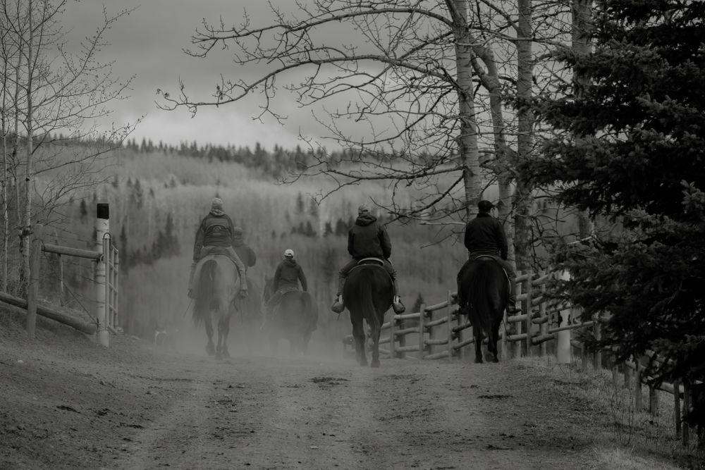 Black and white photo of cowboys riding horses down dusty ranch trail at dusk.