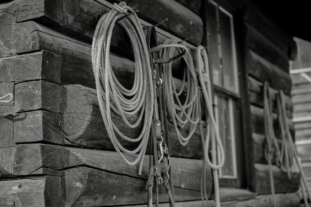 Black and white photo of coiled lasso ropes hanging on rustic log cabin wall.
