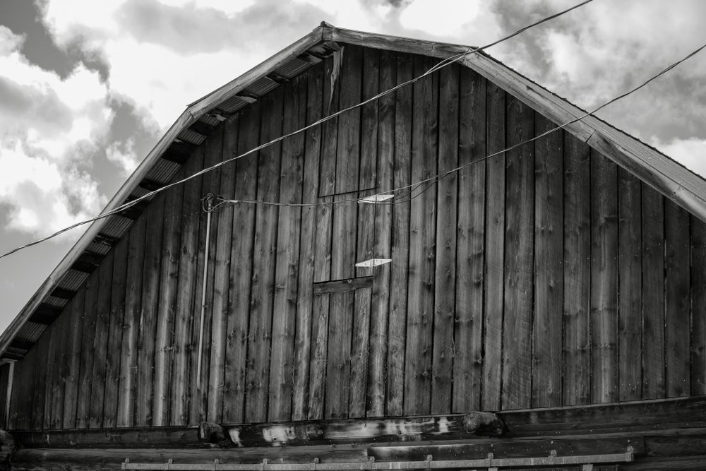 Black and white photo of rustic wooden barn exterior with dramatic cloudy sky.