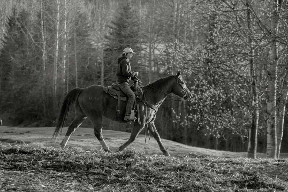 A horseback rider canters through a forest clearing in a stunning black and white ranch photo.