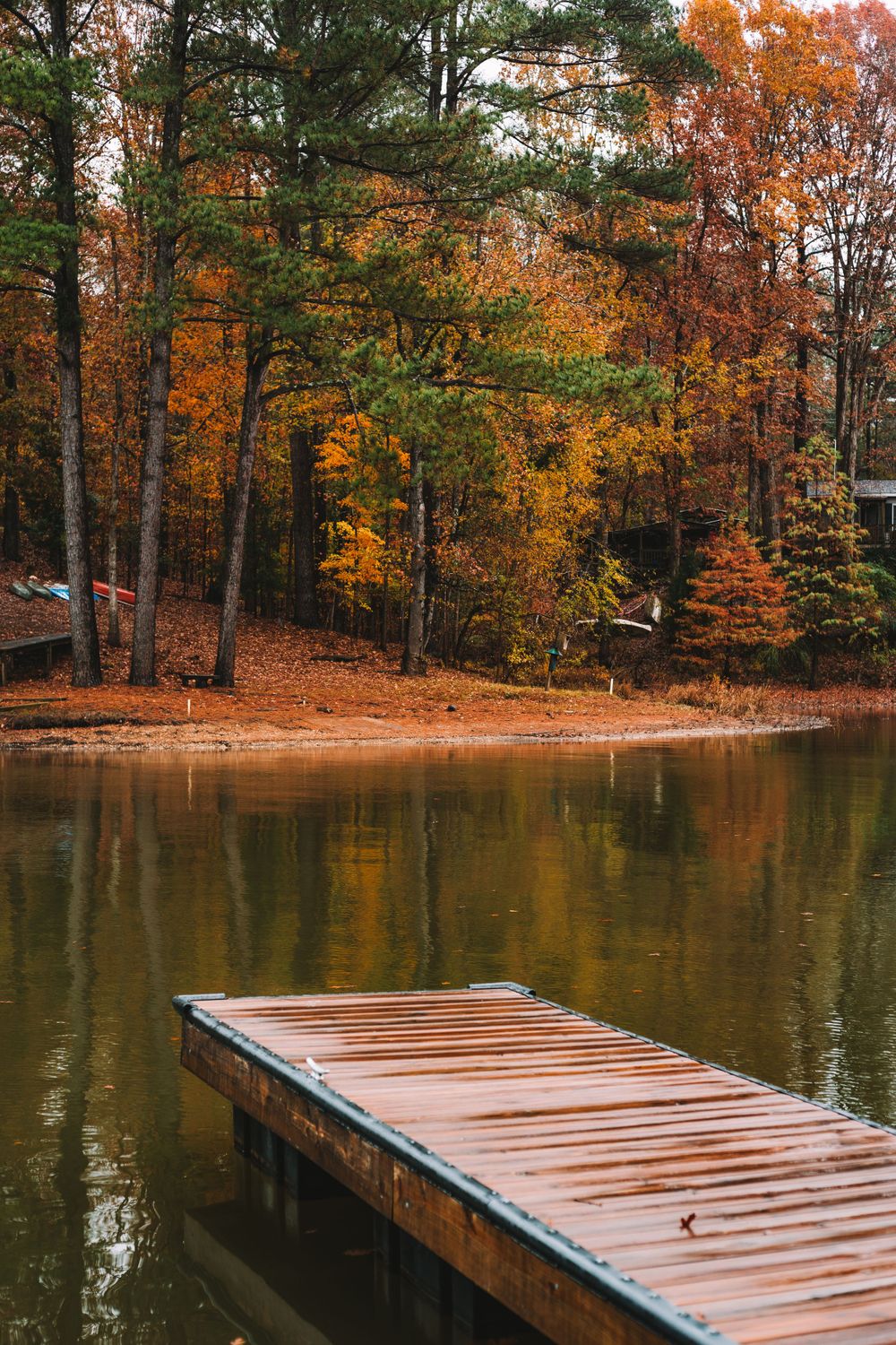 travel, nature and lifestyle photographer