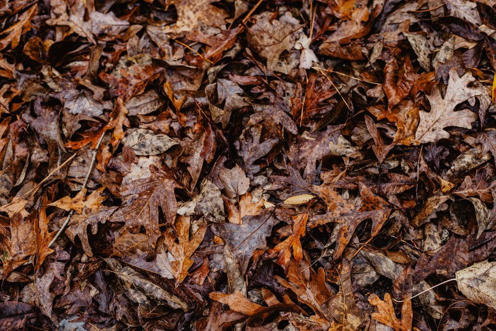 travel and lifestyle photographer