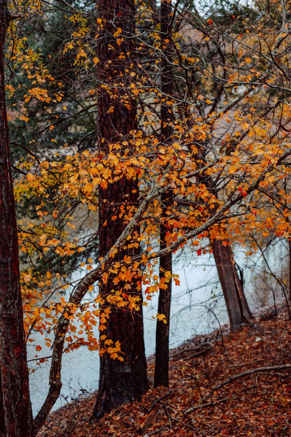 travel, nature and lifestyle photographer