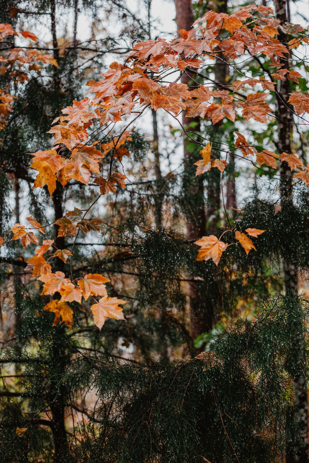 travel and lifestyle photographer