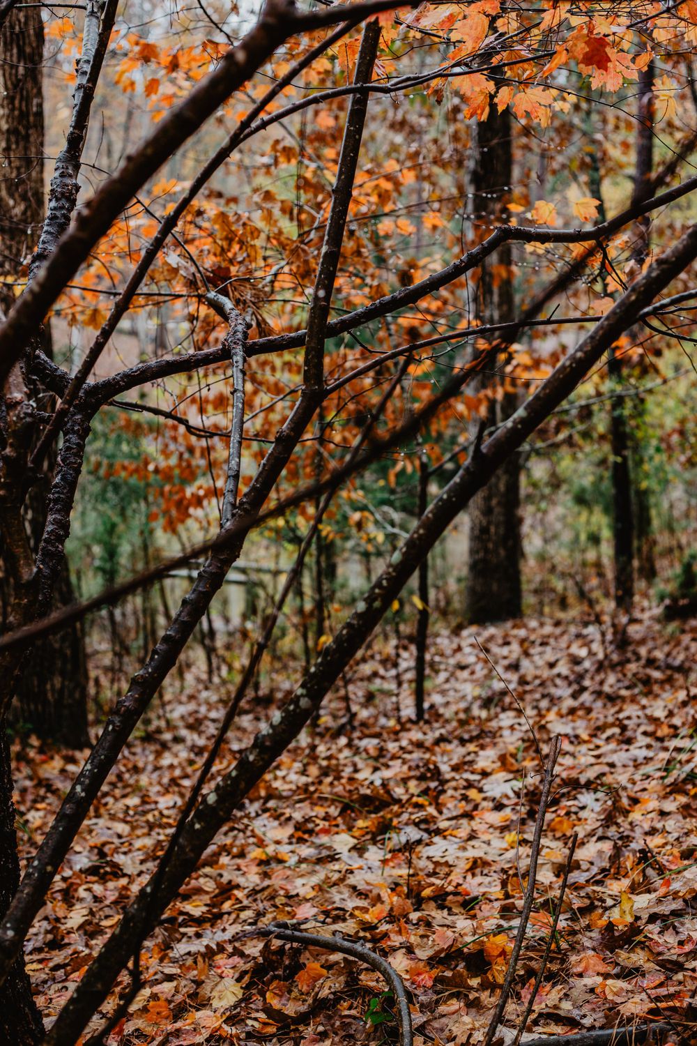 travel, nature and lifestyle photographer