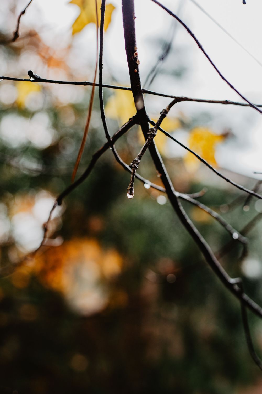 travel, nature and lifestyle photographer