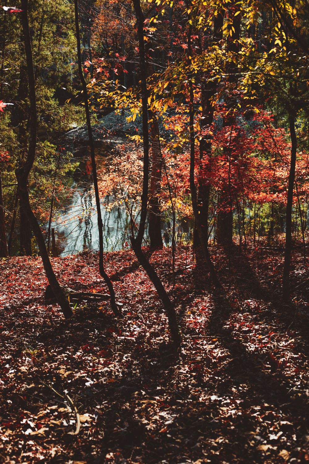 travel, nature and lifestyle photographer