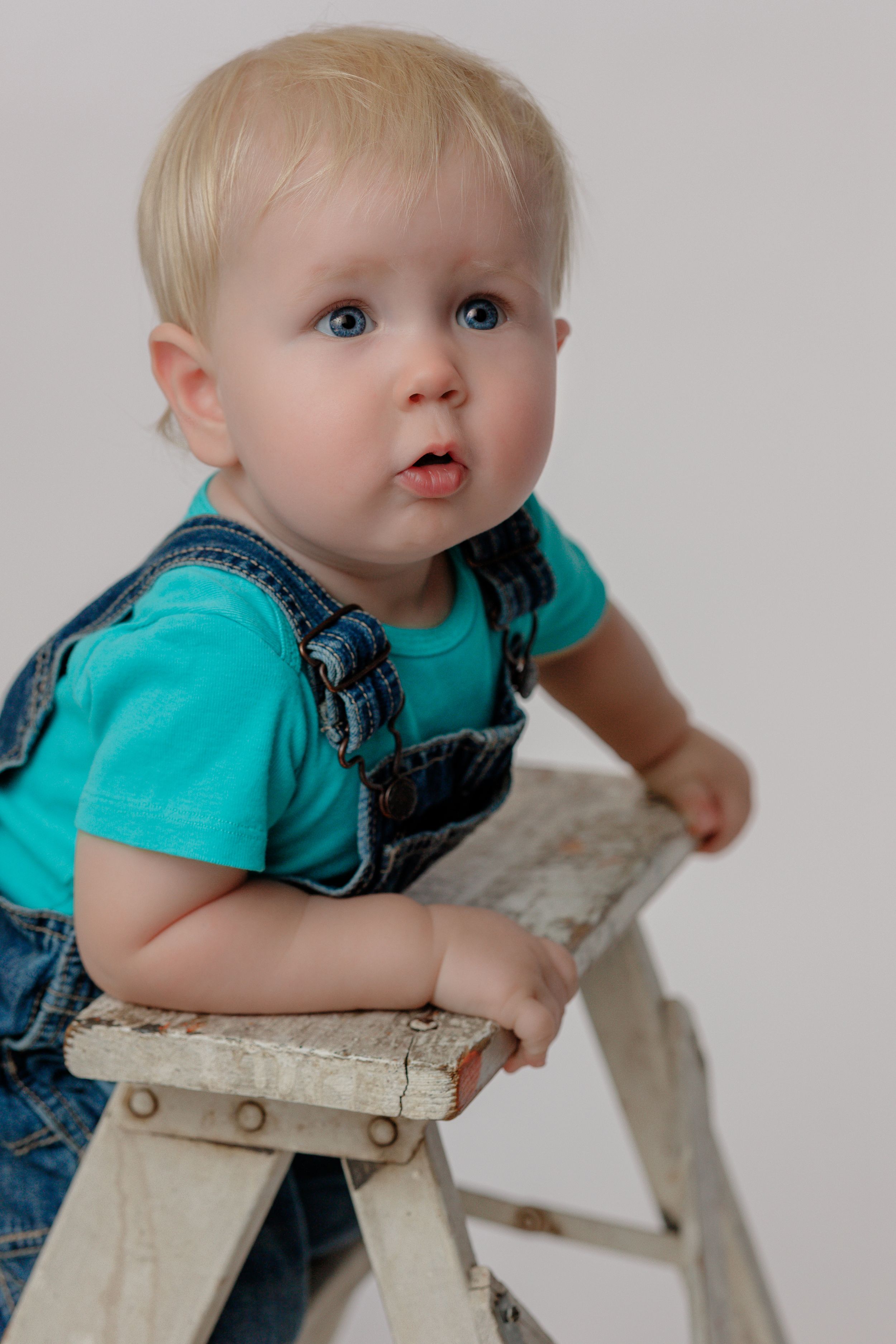One year old Birthday portrait