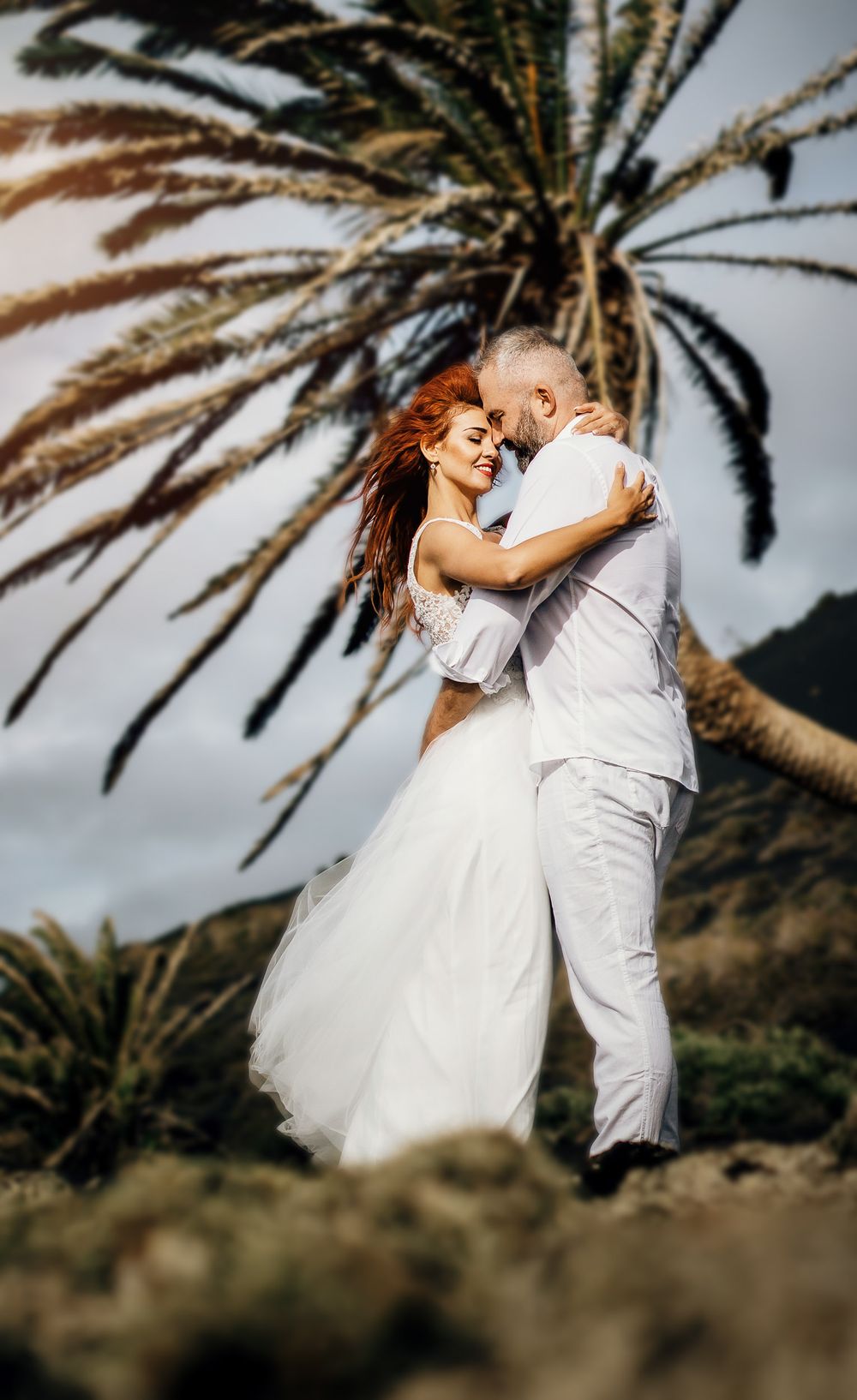 A couple in wedding attire embraces romantically under a palm tree with mountains in the background.